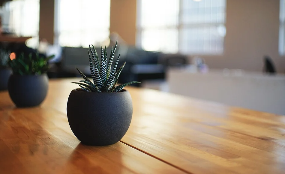Indoor